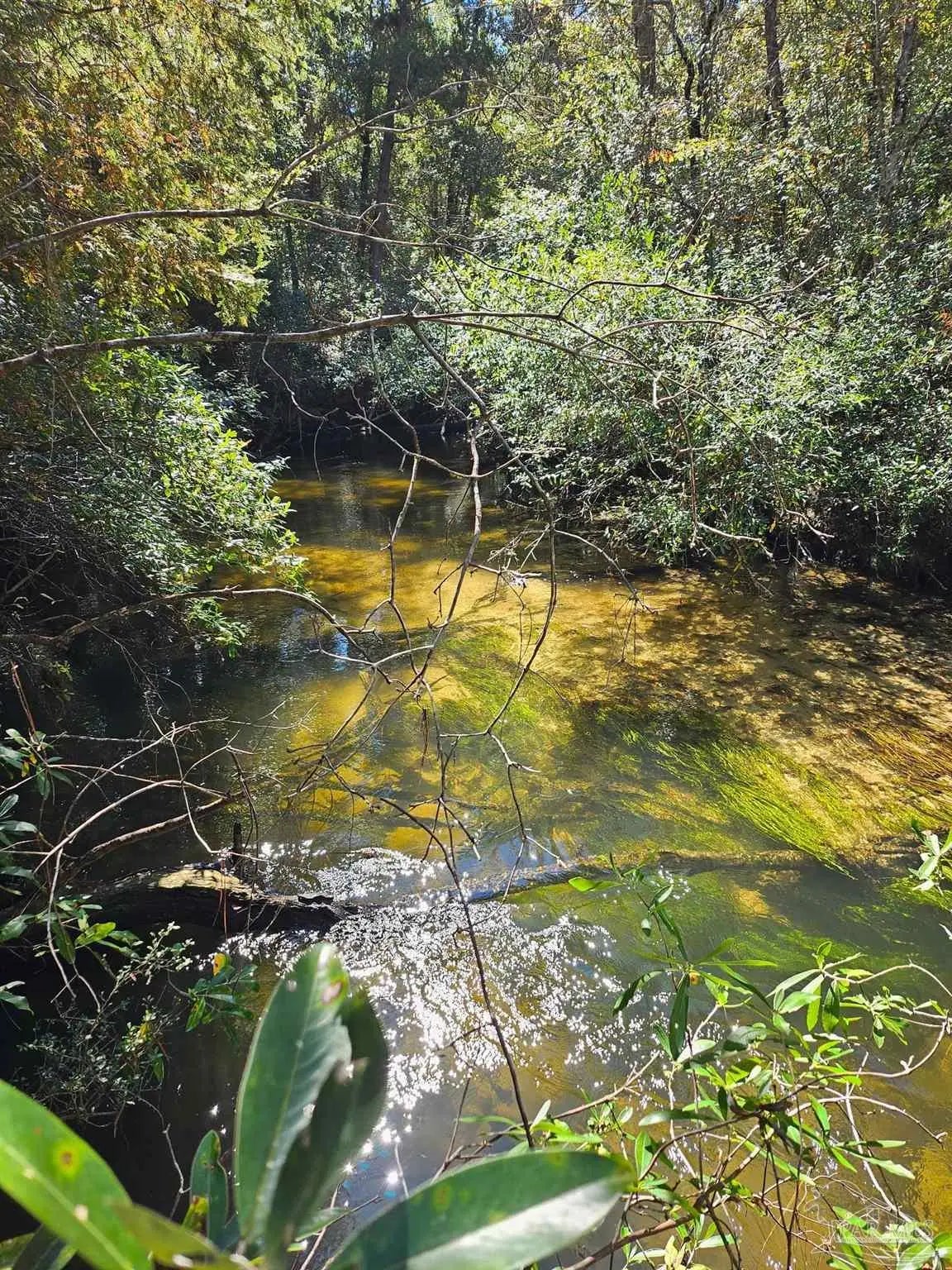 Photo of Listing #668860