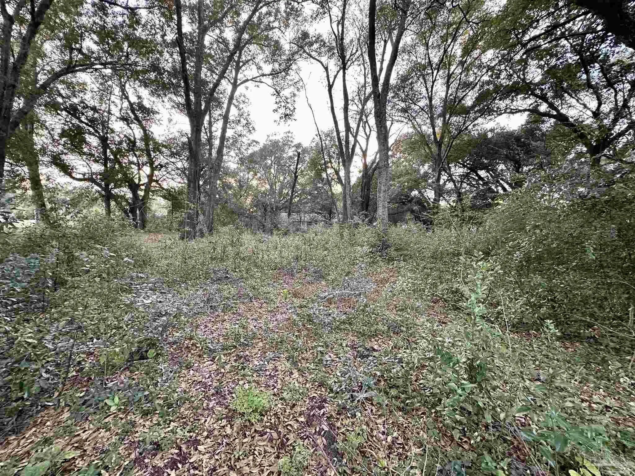 Photo of Listing #676151