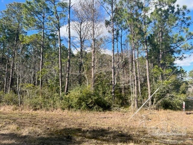 Photo of Listing #622251