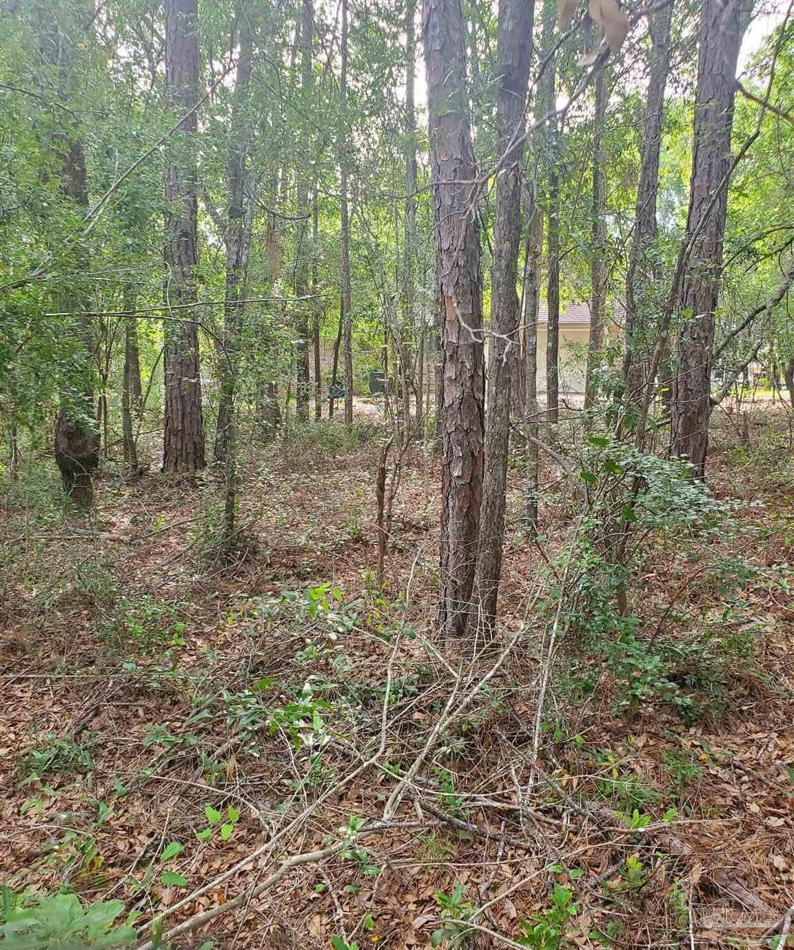 Photo of Listing #627992