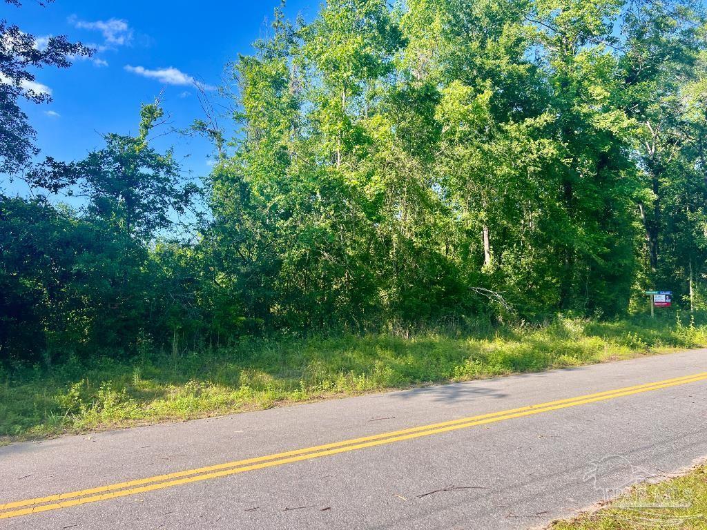 Photo of Listing #642848