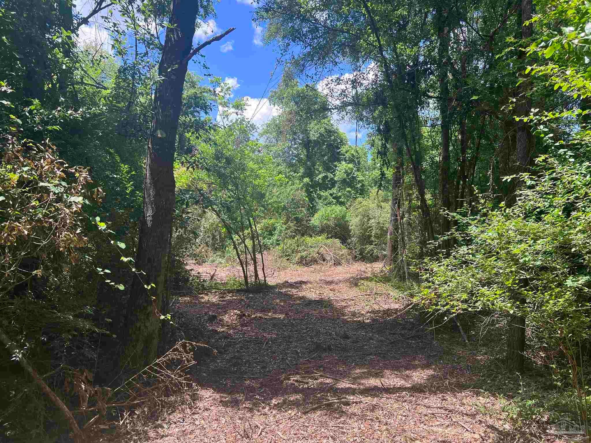 Photo of Listing #644842