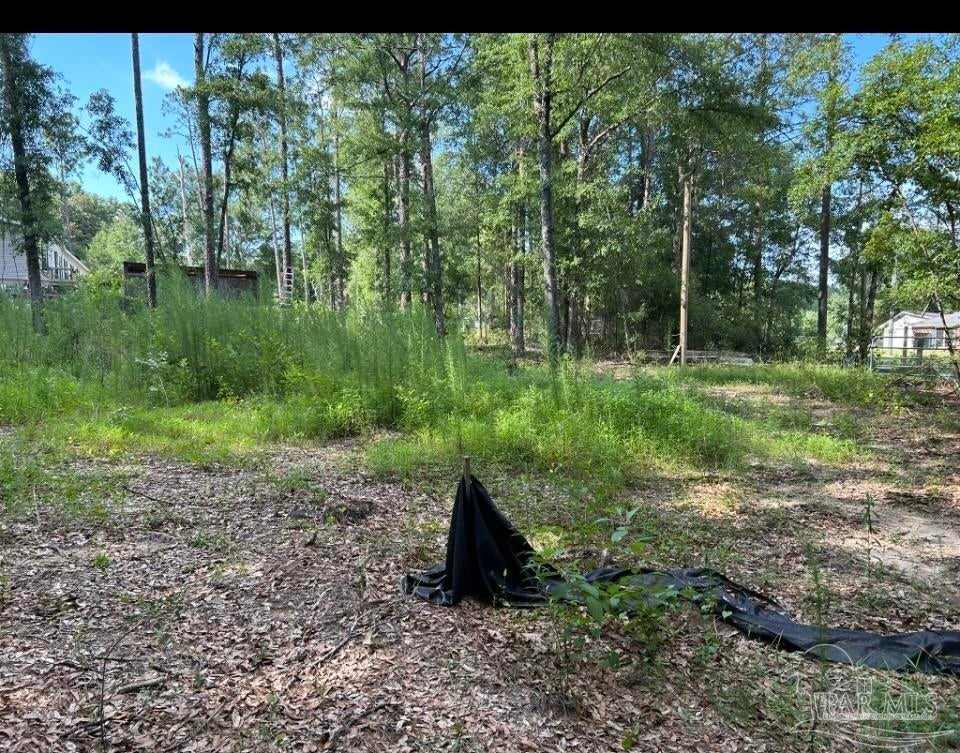 Photo of Listing #648742