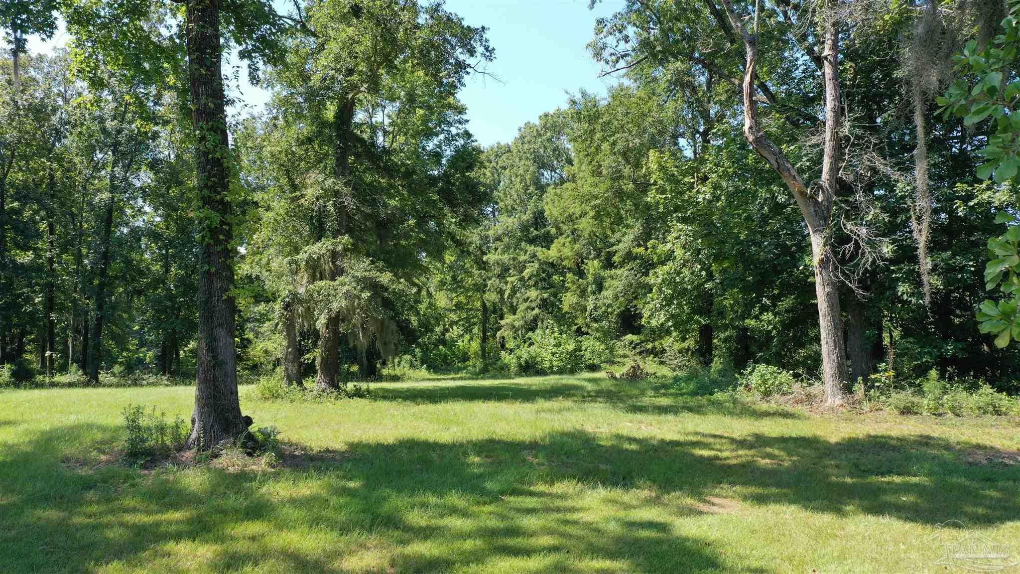 Photo of Listing #650792