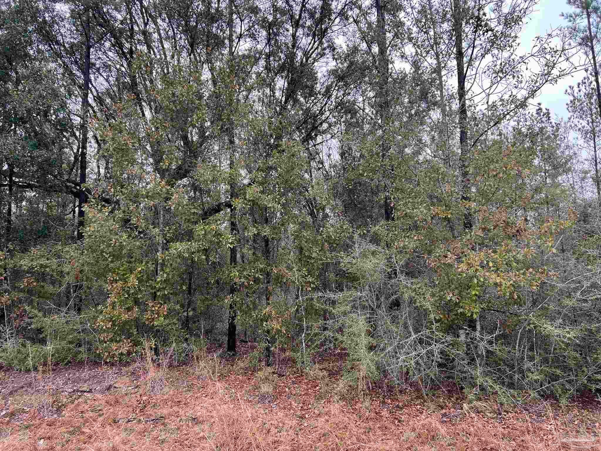 Photo of Listing #656806