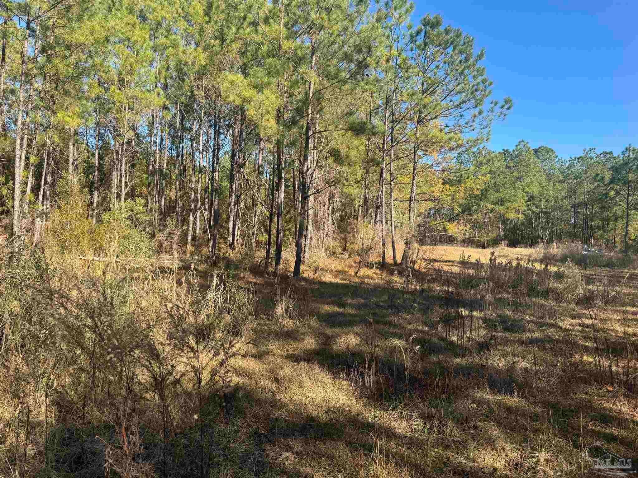 Photo of Listing #657678