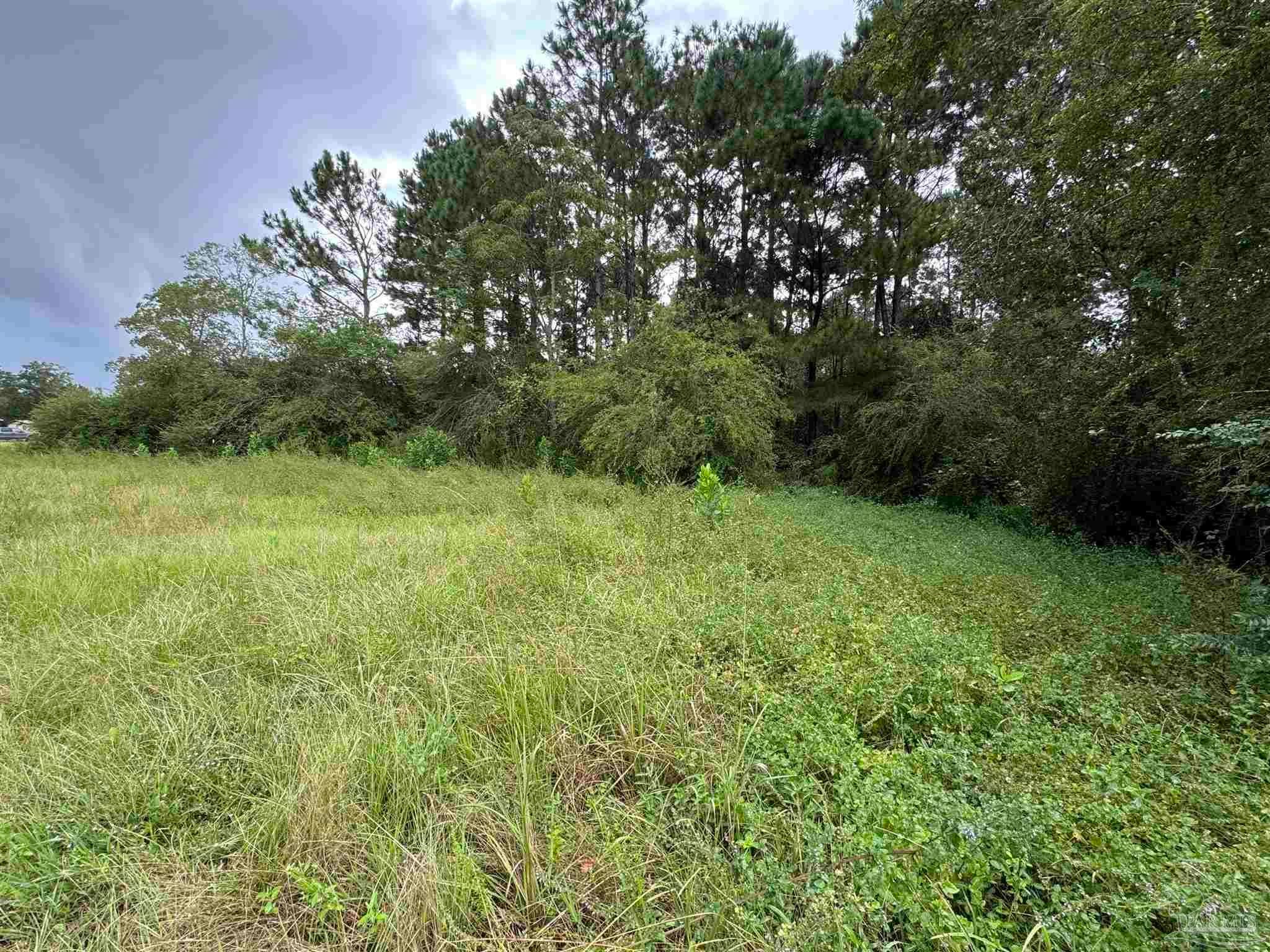 Photo of Listing #658124