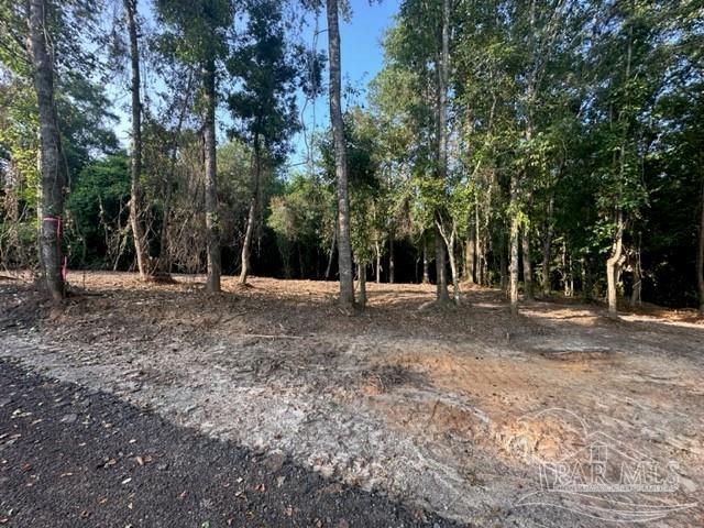 Photo of Listing #658466