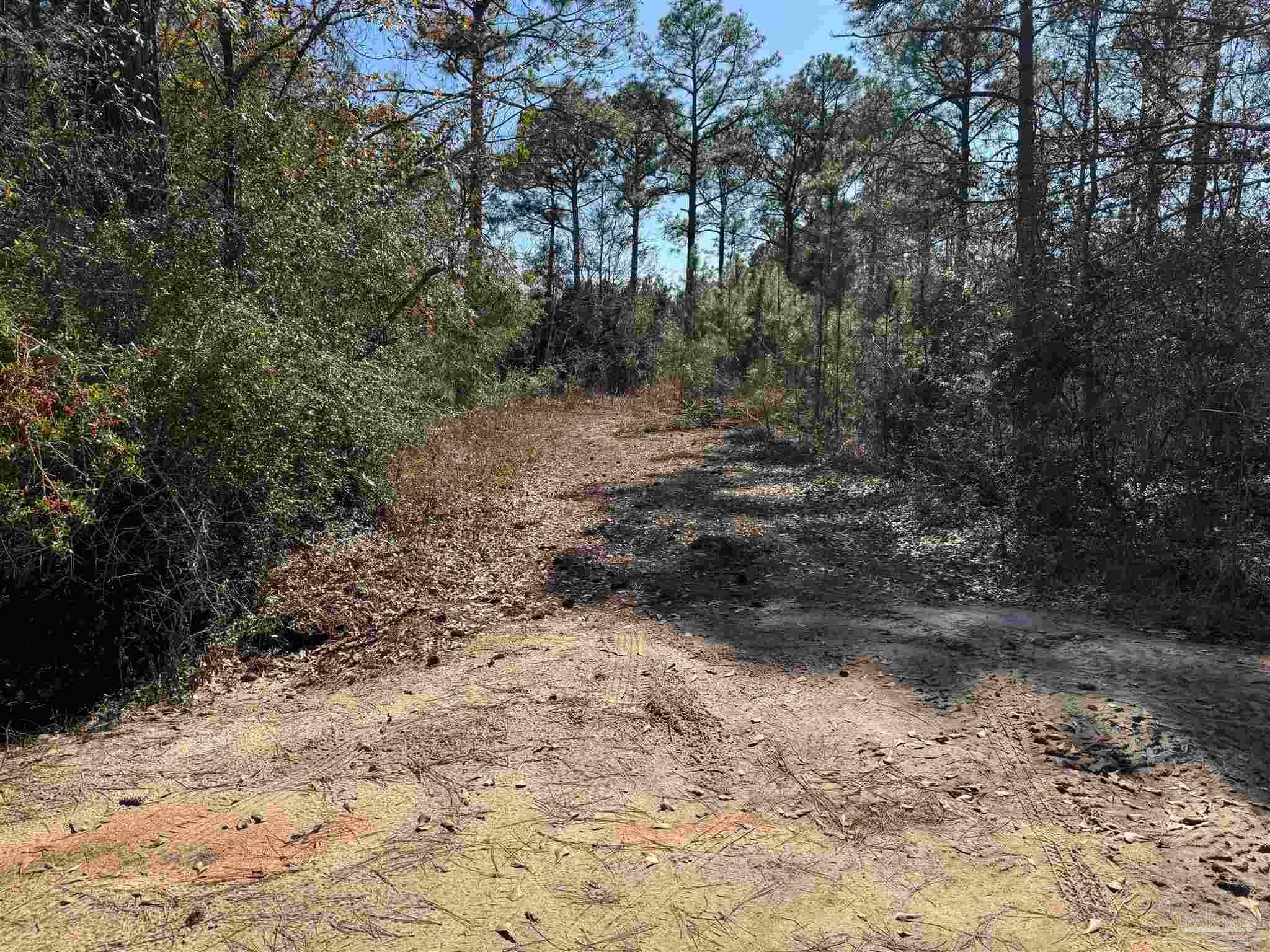 Photo of Listing #658485