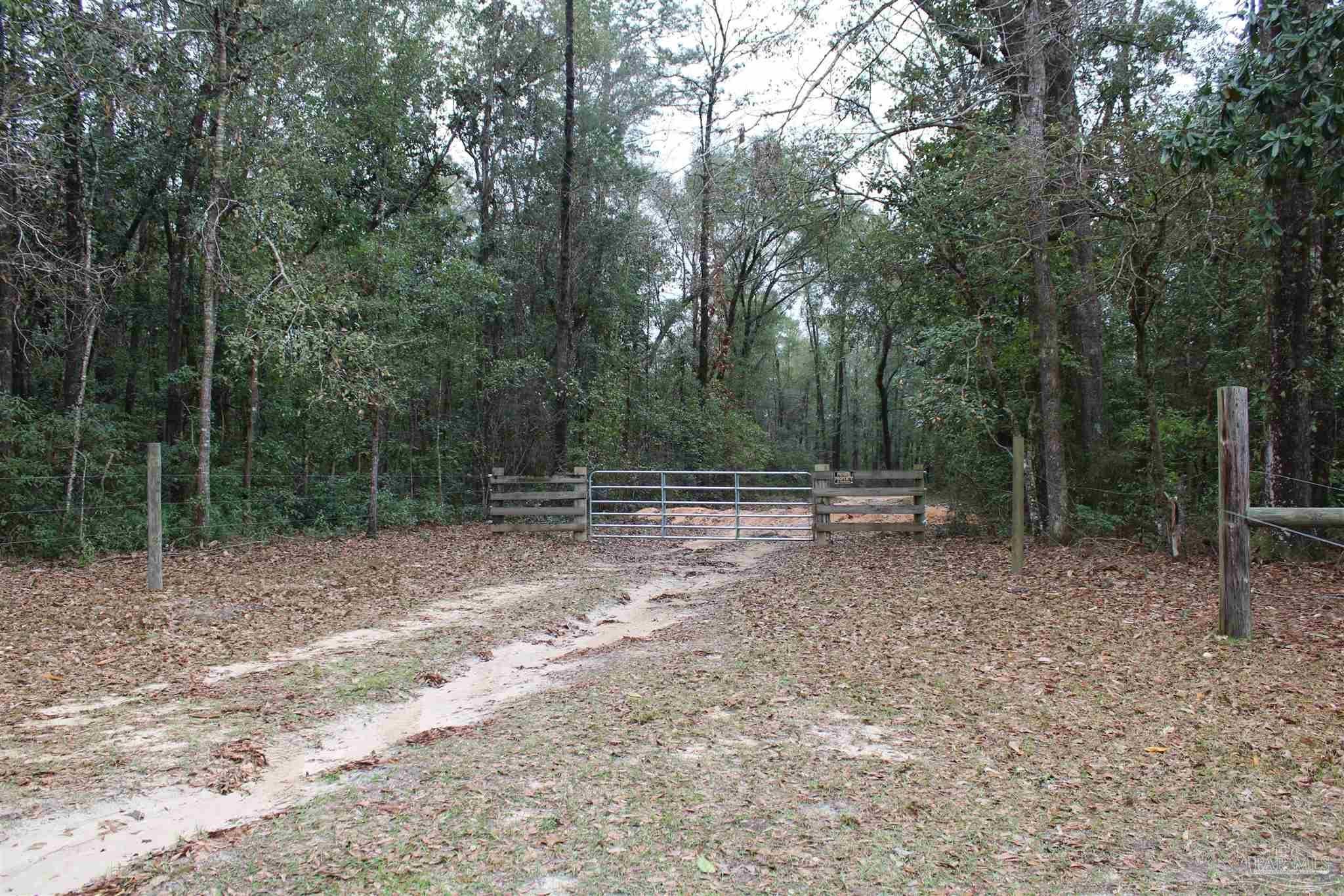 Photo of Listing #659031