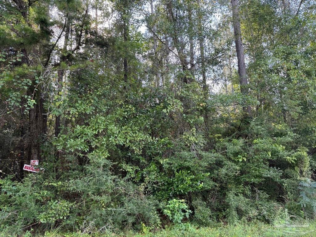 Photo of Listing #659128