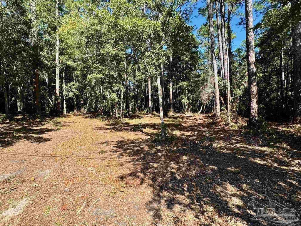 Photo of Listing #659192