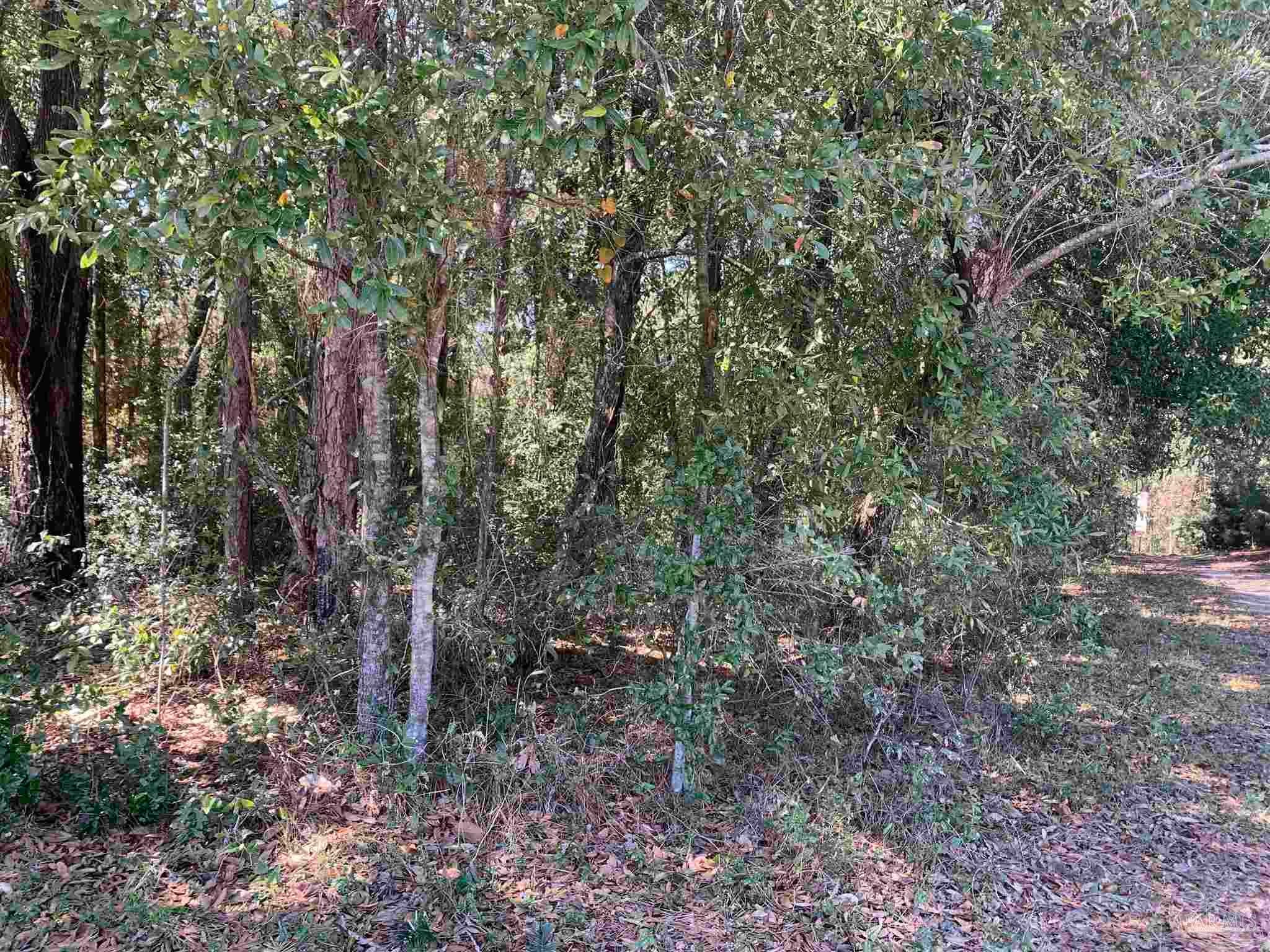 Photo of Listing #659218