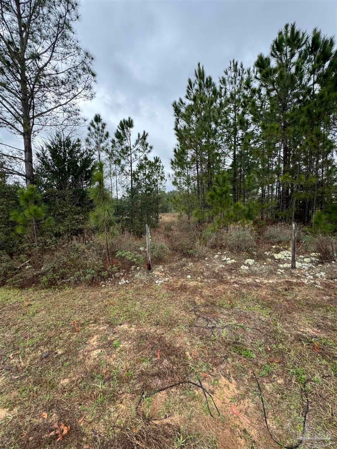 Photo of Listing #659449