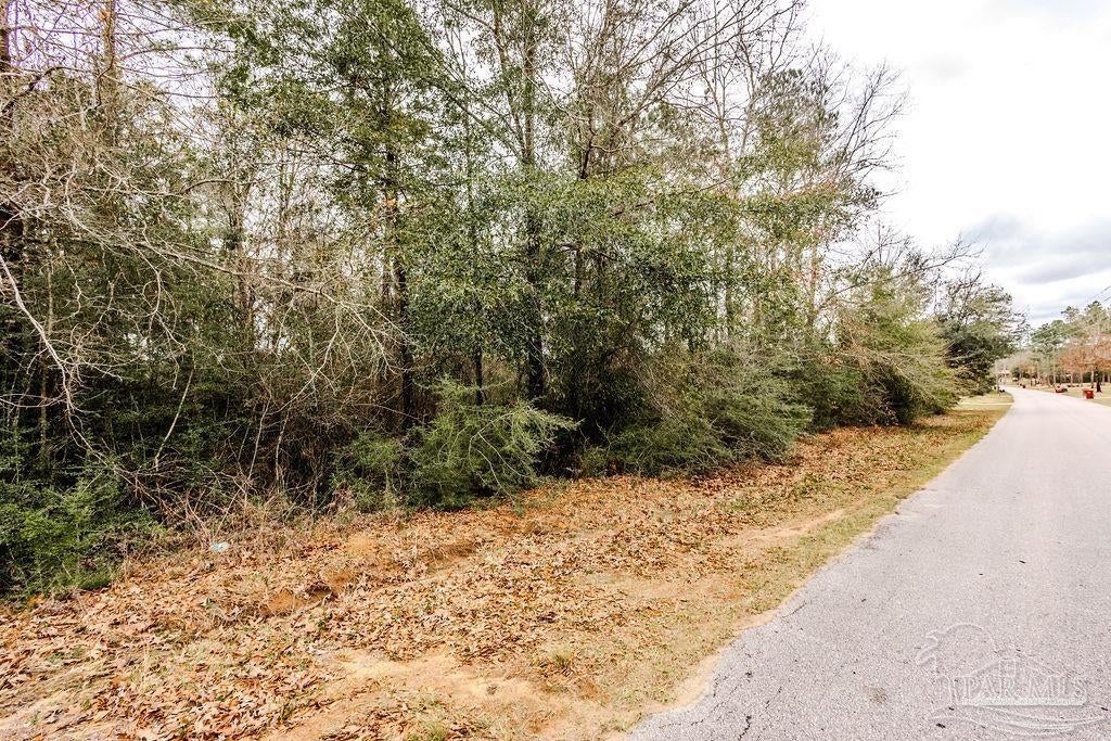 Photo of Listing #659647