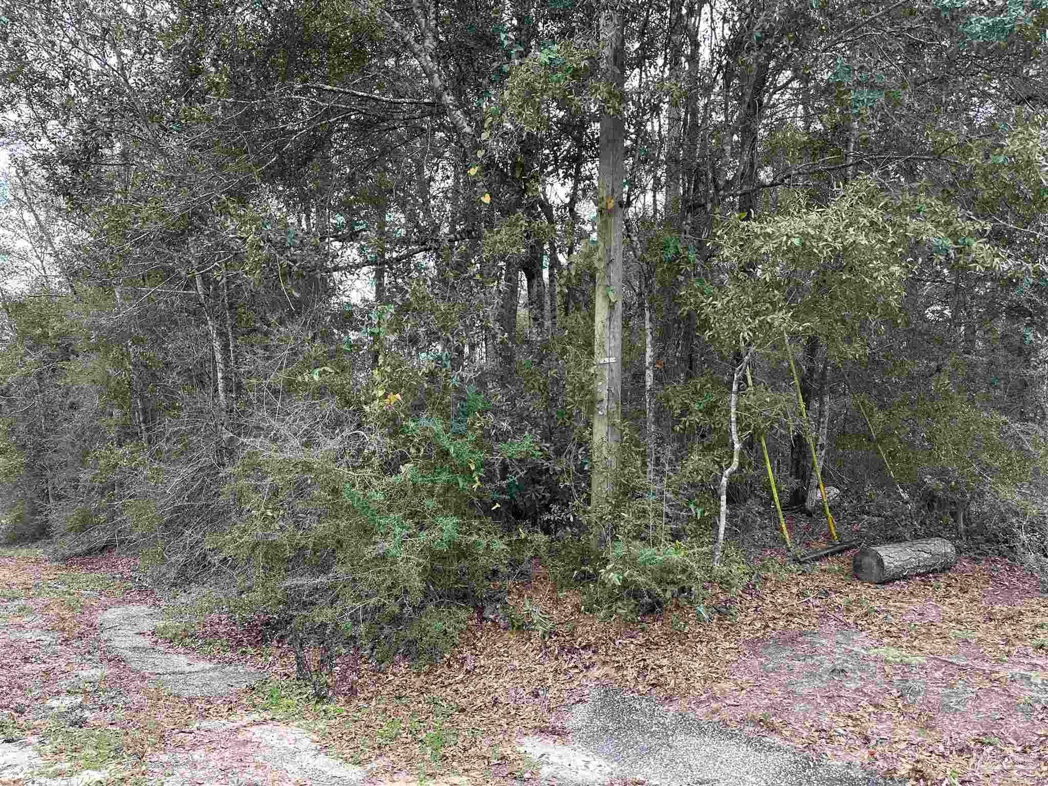 Photo of Listing #660207