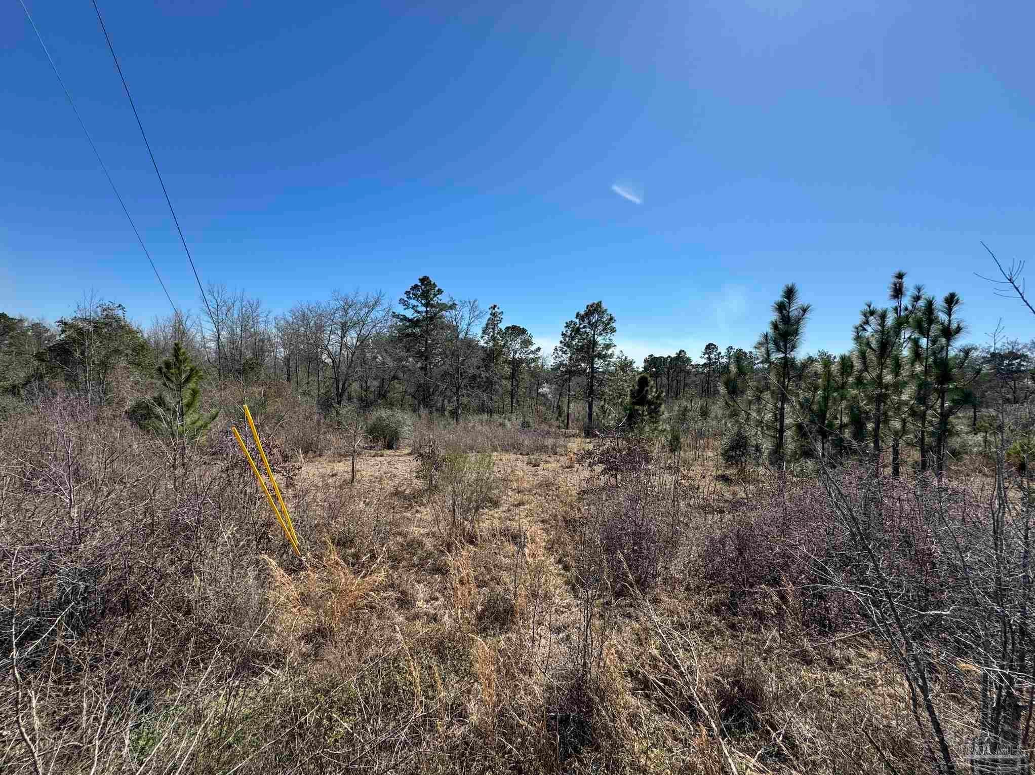 Photo of Listing #660488