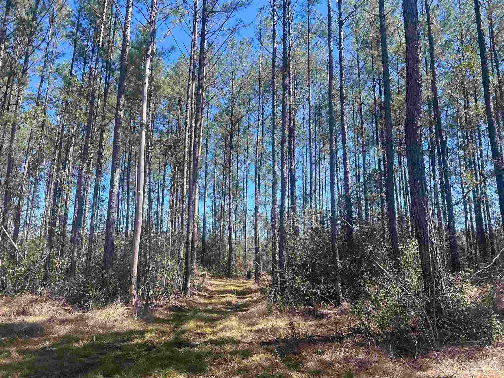 Photo of Listing #660563