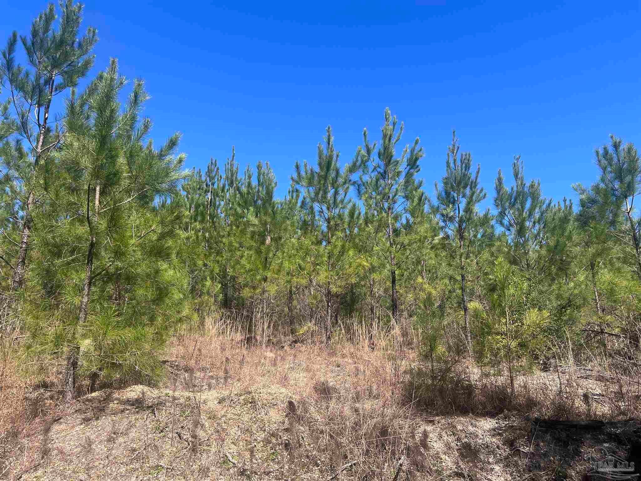 Photo of Listing #660564