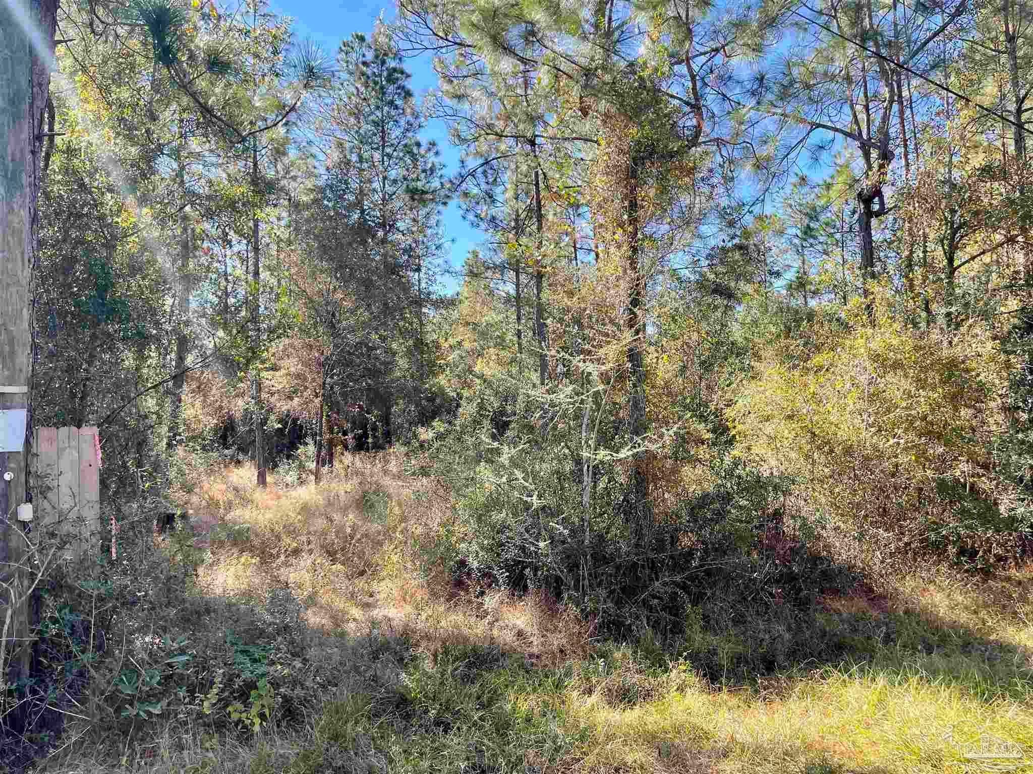 Photo of Listing #660787