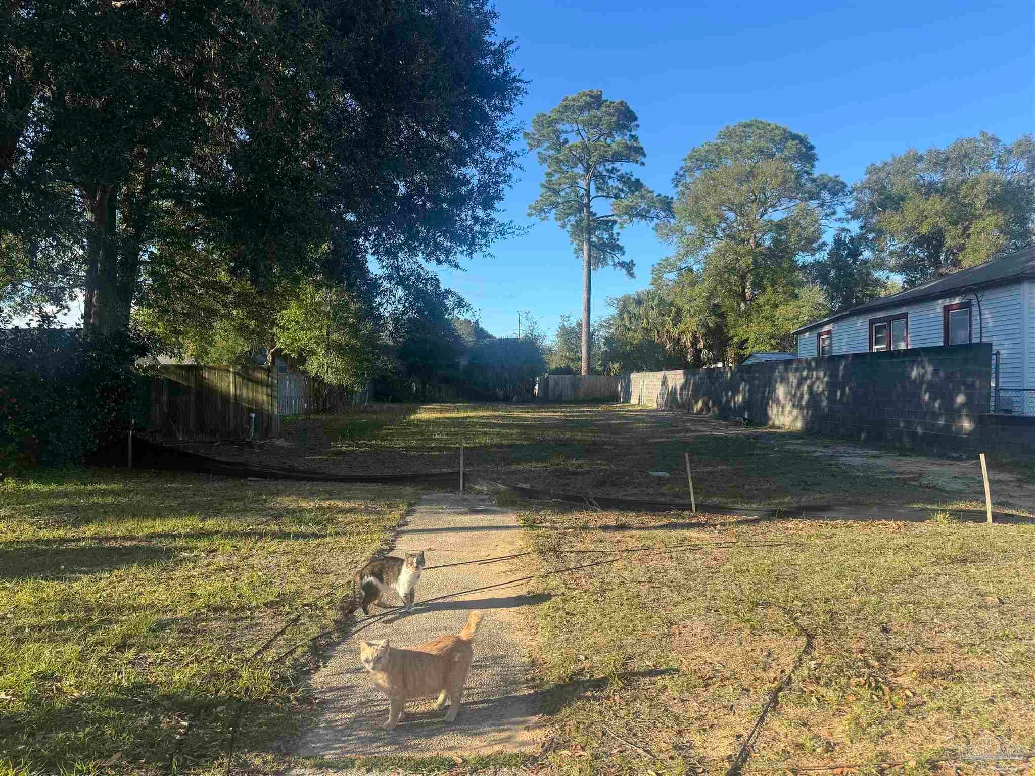 Photo of Listing #660793