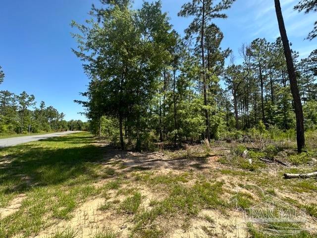 Photo of Listing #661328