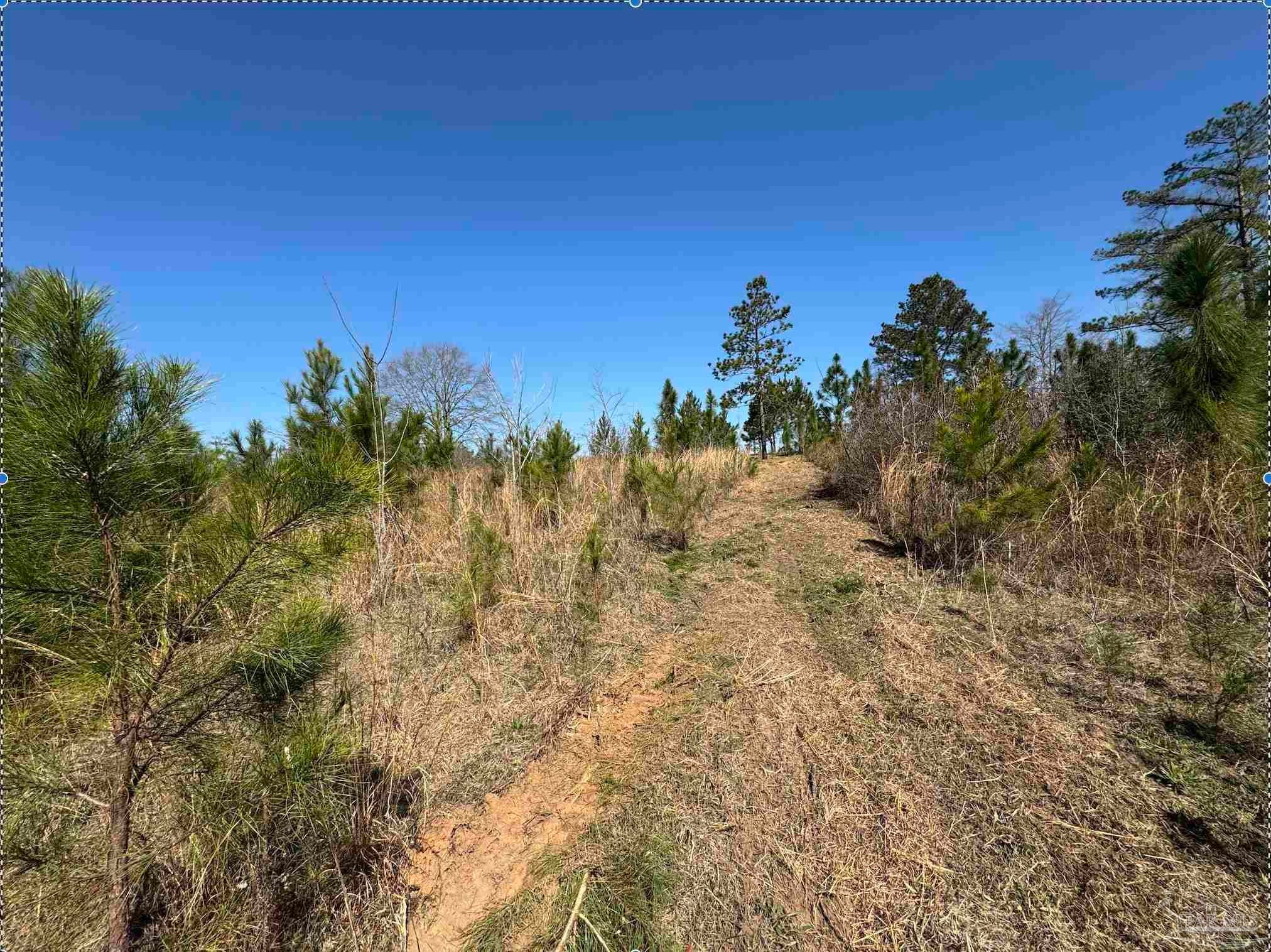 Photo of Listing #662021
