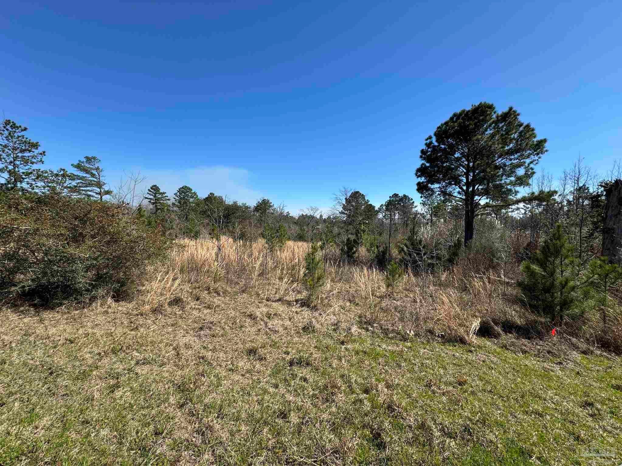 Photo of Listing #662023