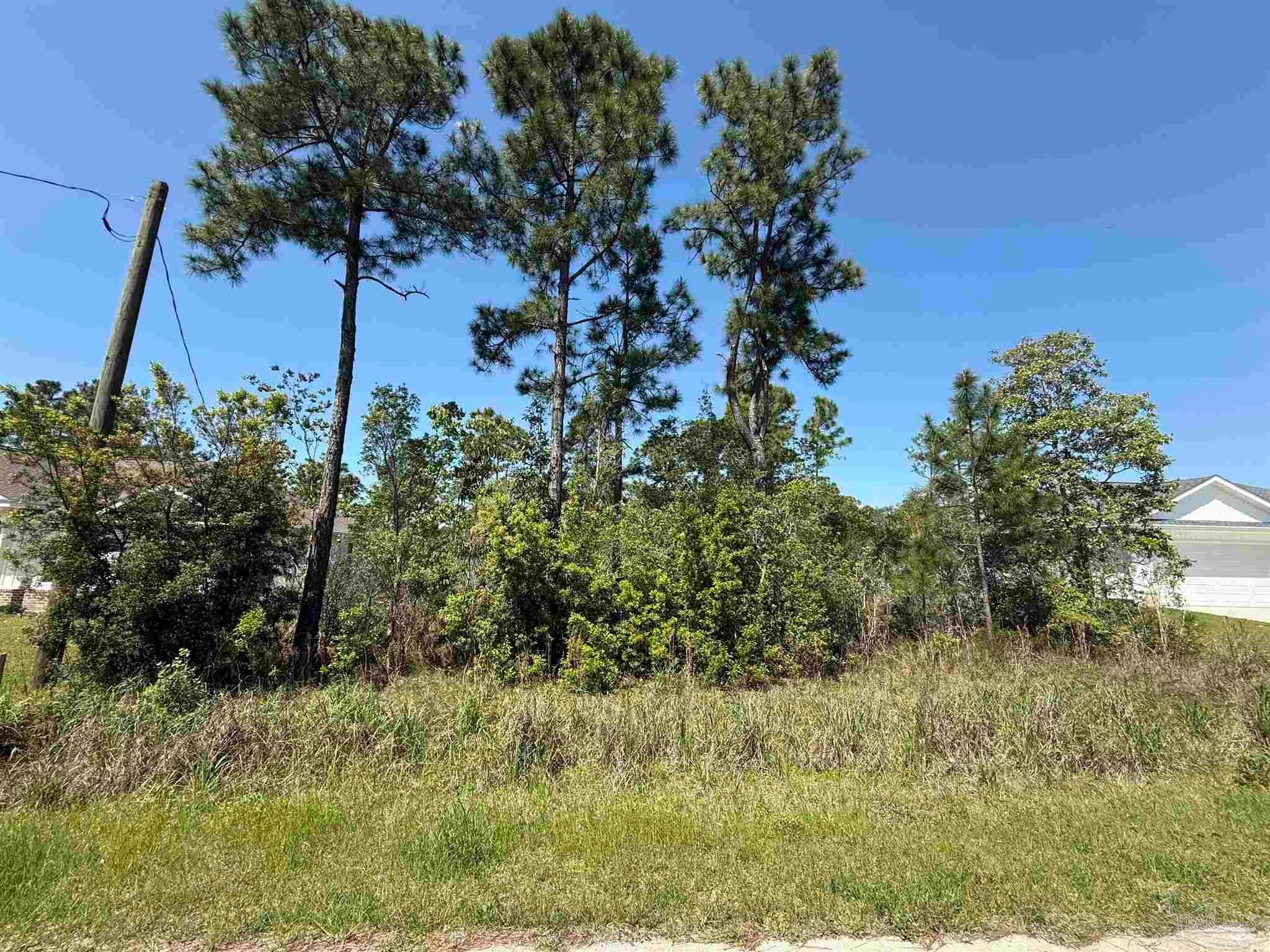 Photo of Listing #662286