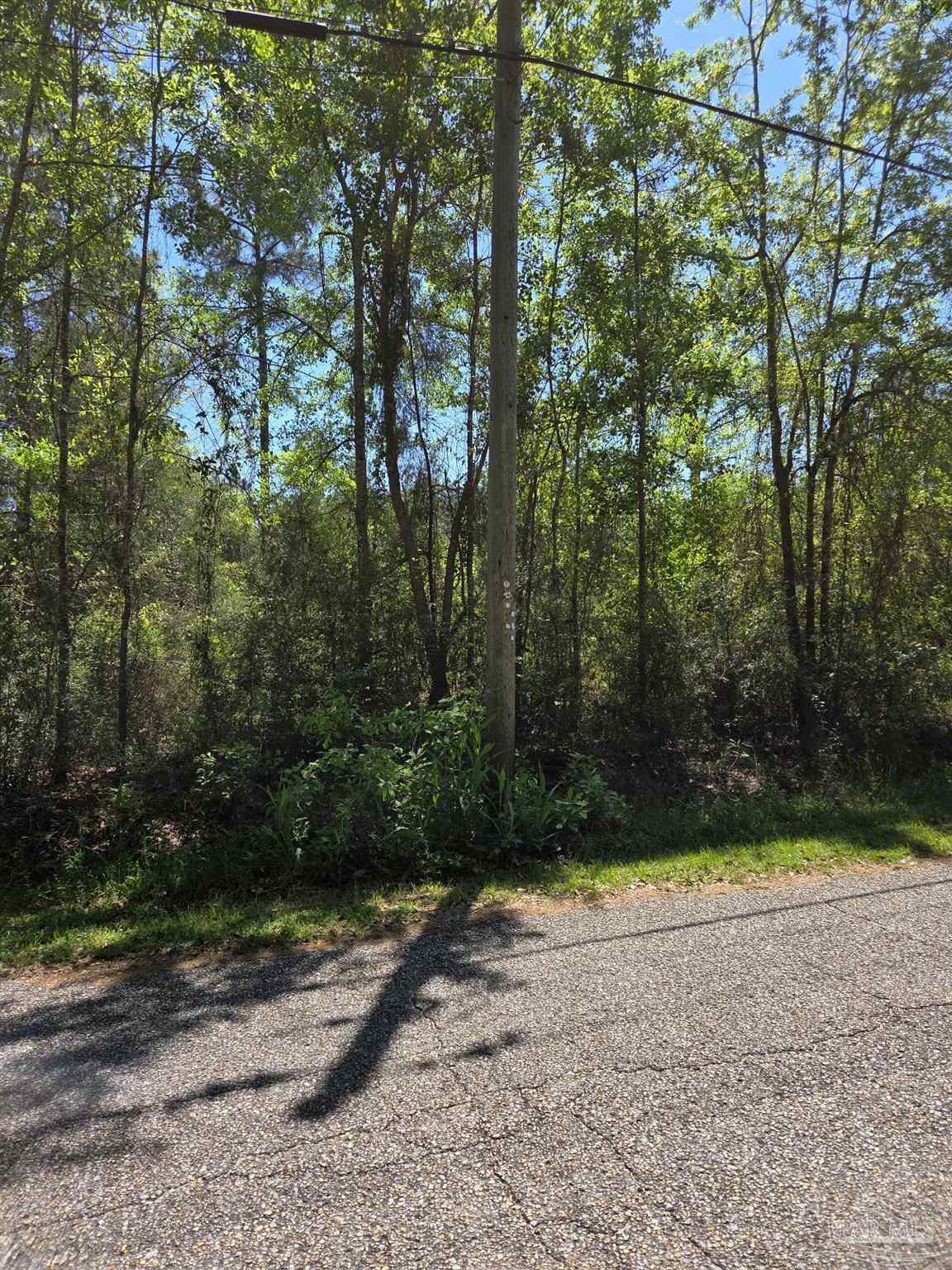 Photo of Listing #662383