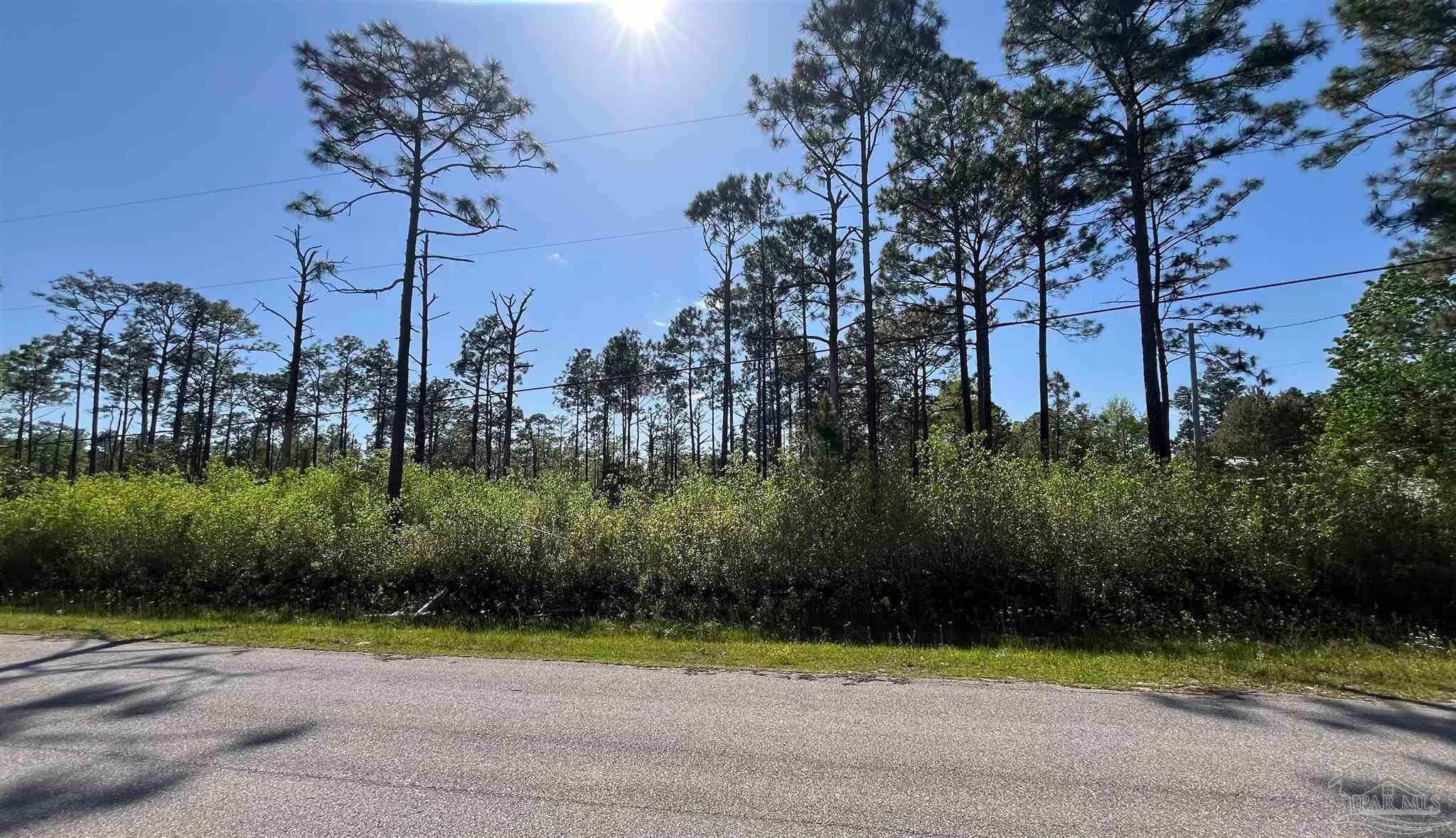 Photo of Listing #662658