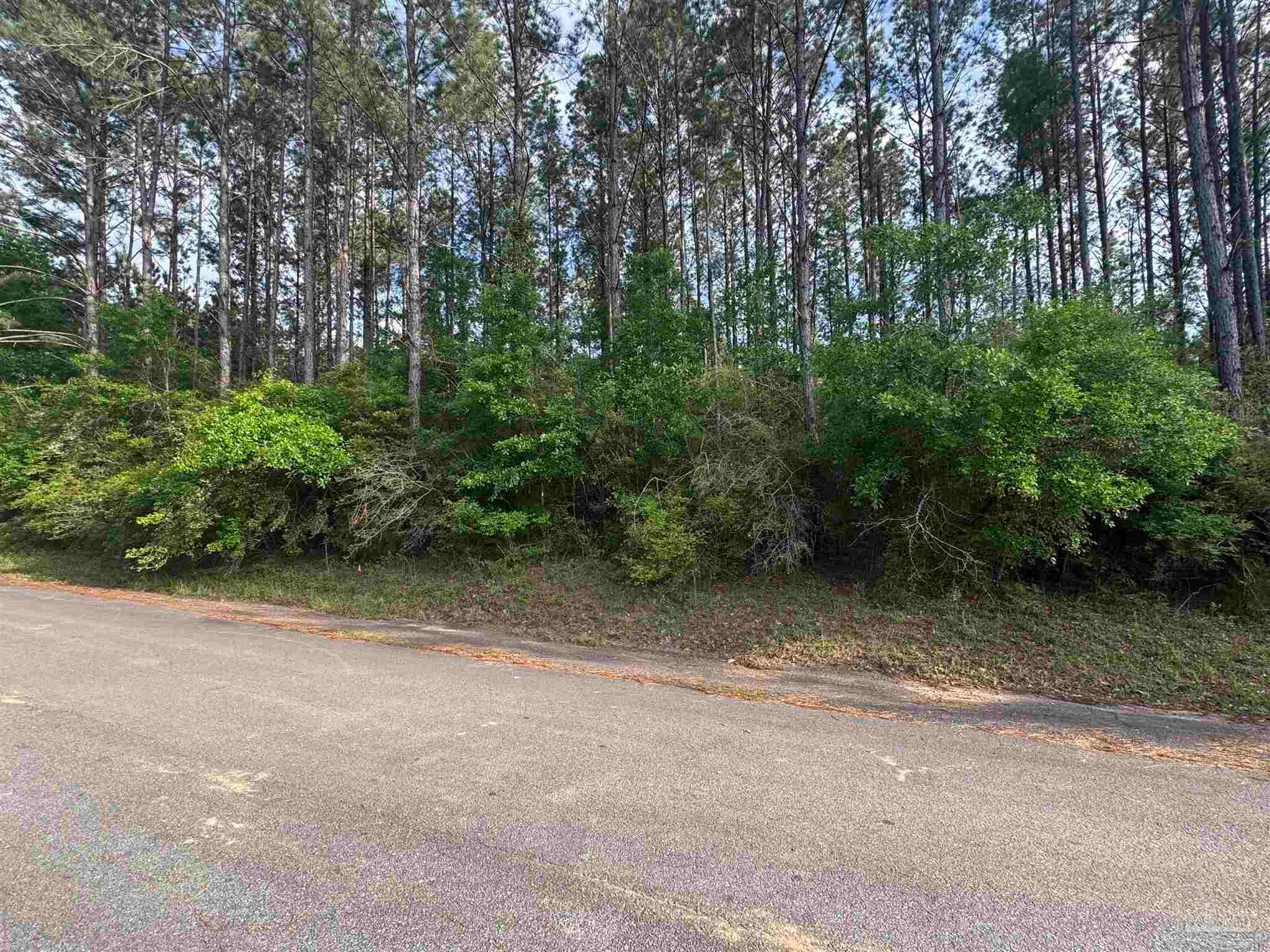 Photo of Listing #662974