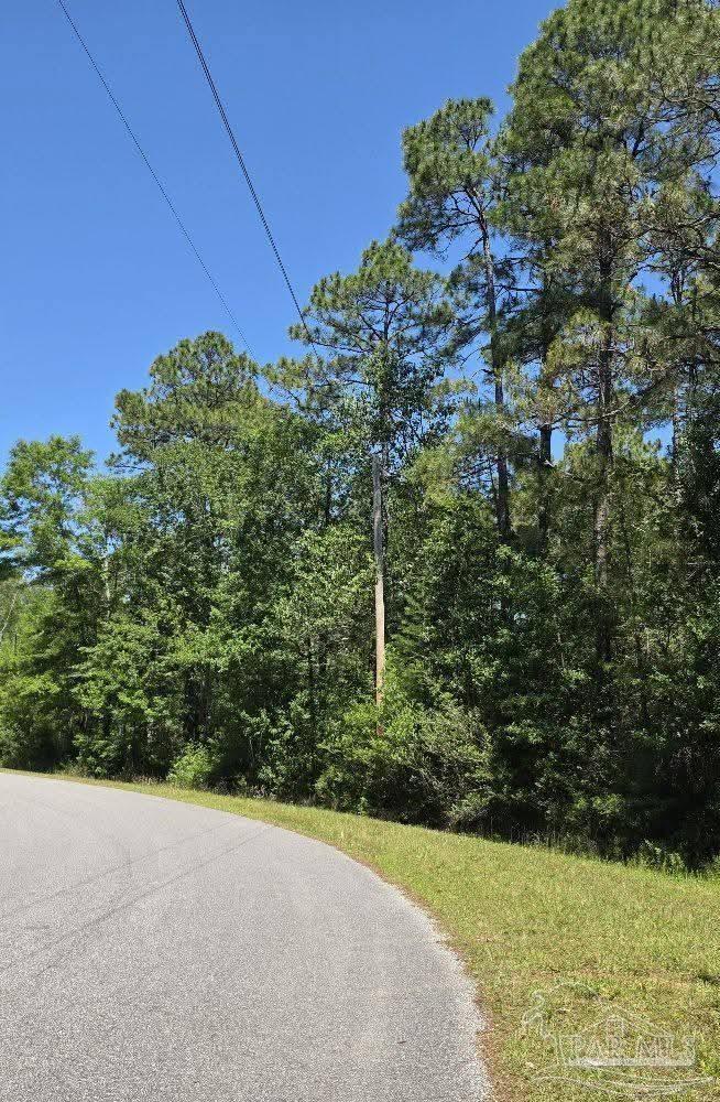 Photo of Listing #663109