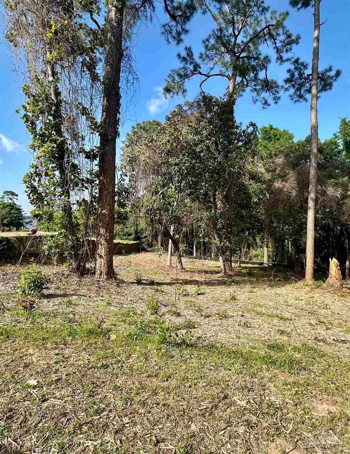 Photo of Listing #663445