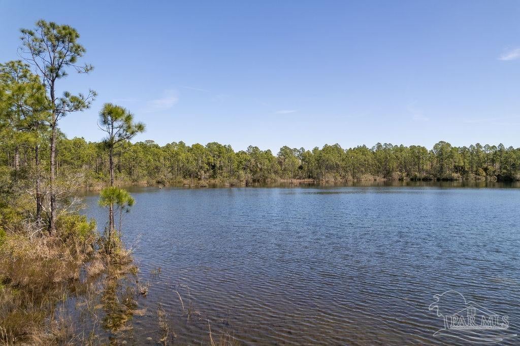 Photo of Listing #663482