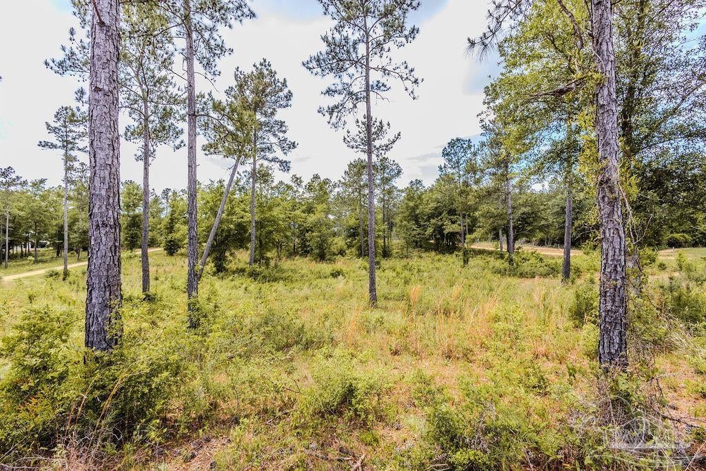 Photo of Listing #663776