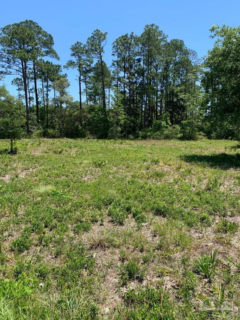 Photo of Listing #663947