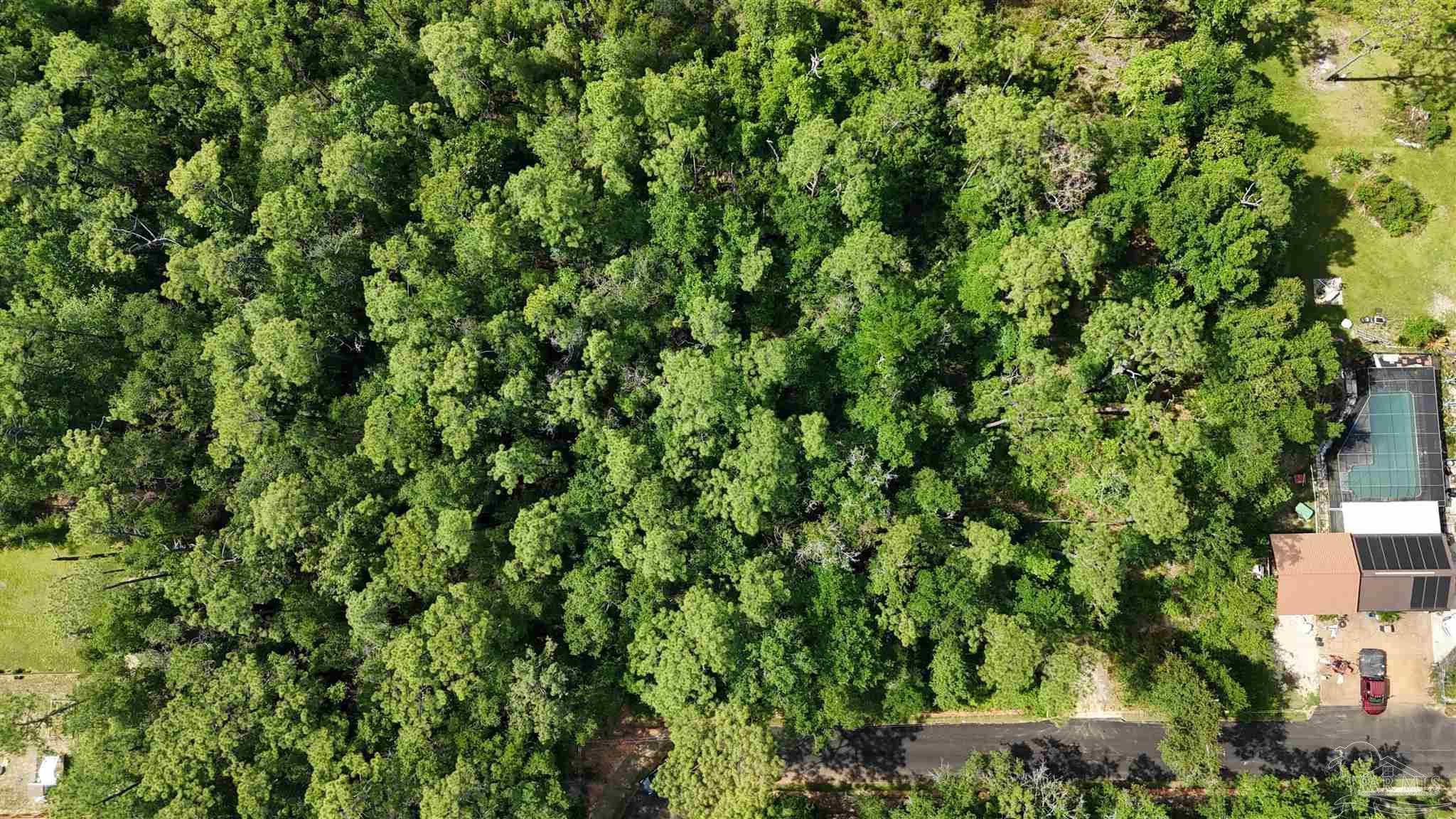 Photo of Listing #664924