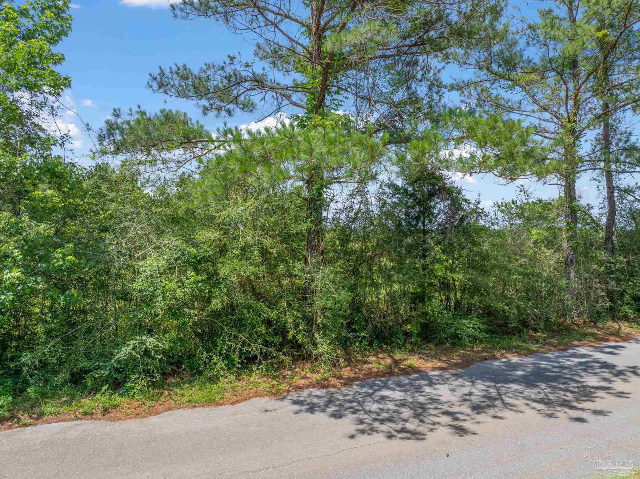 Photo of Listing #664950