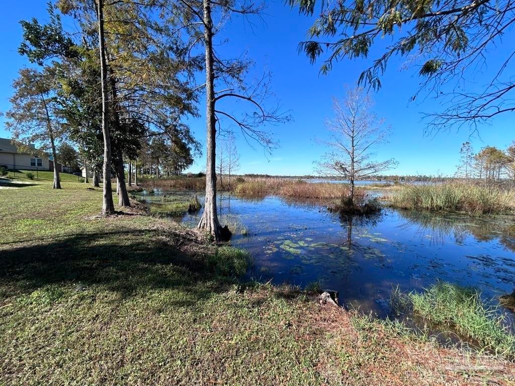 Photo of Listing #665004