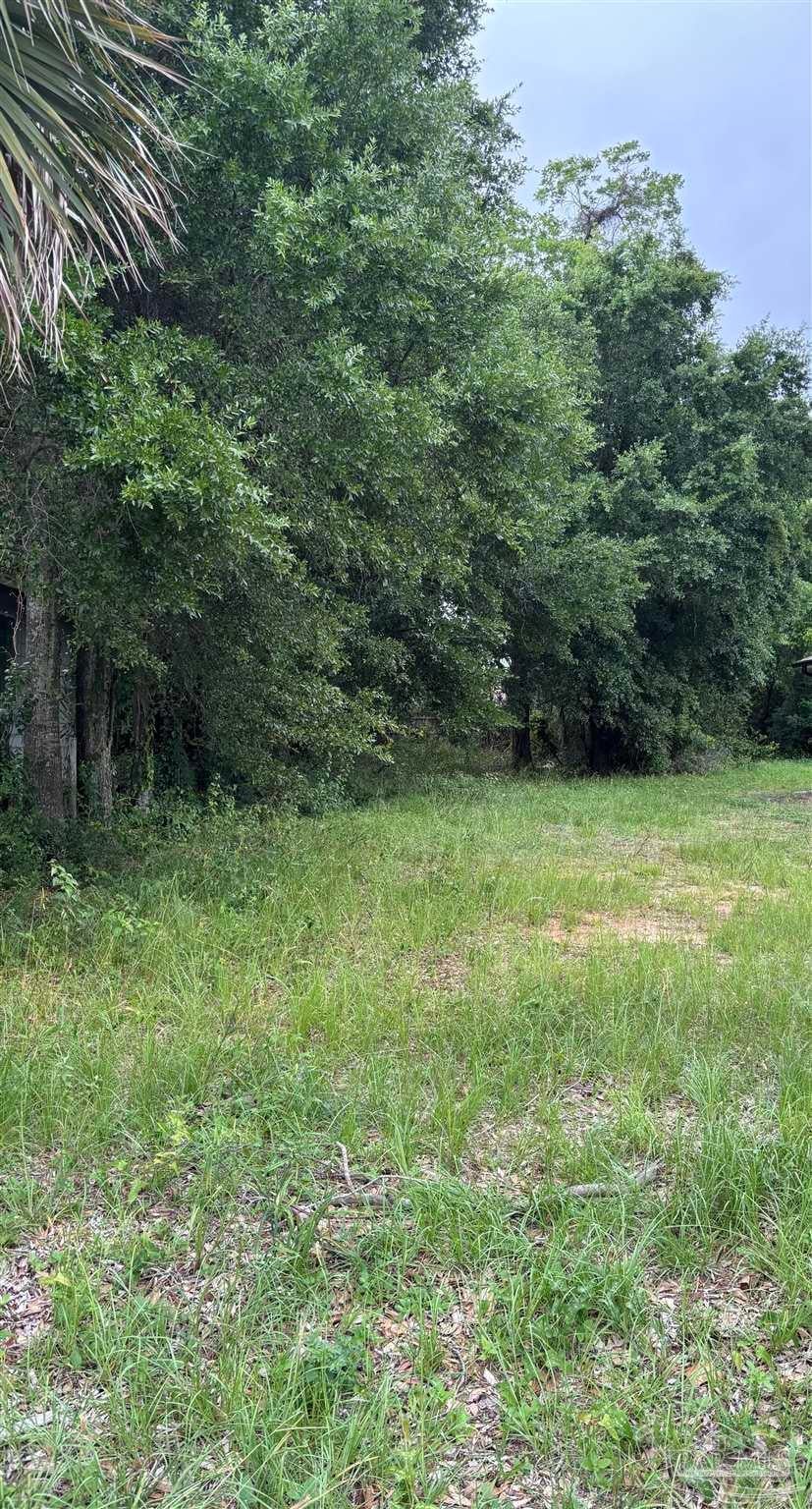 Photo of Listing #665024