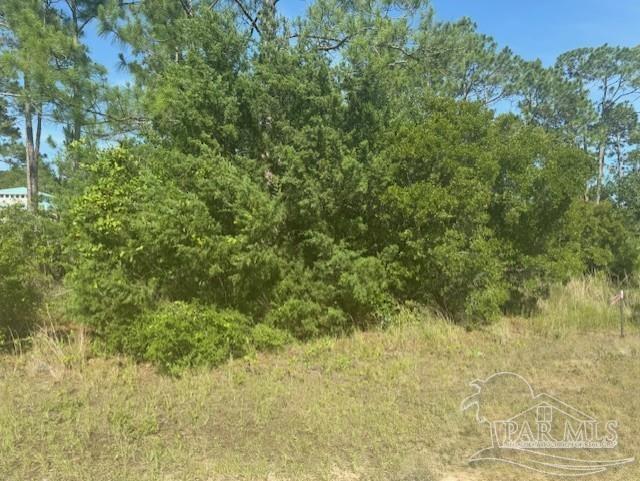 Photo of Listing #665094