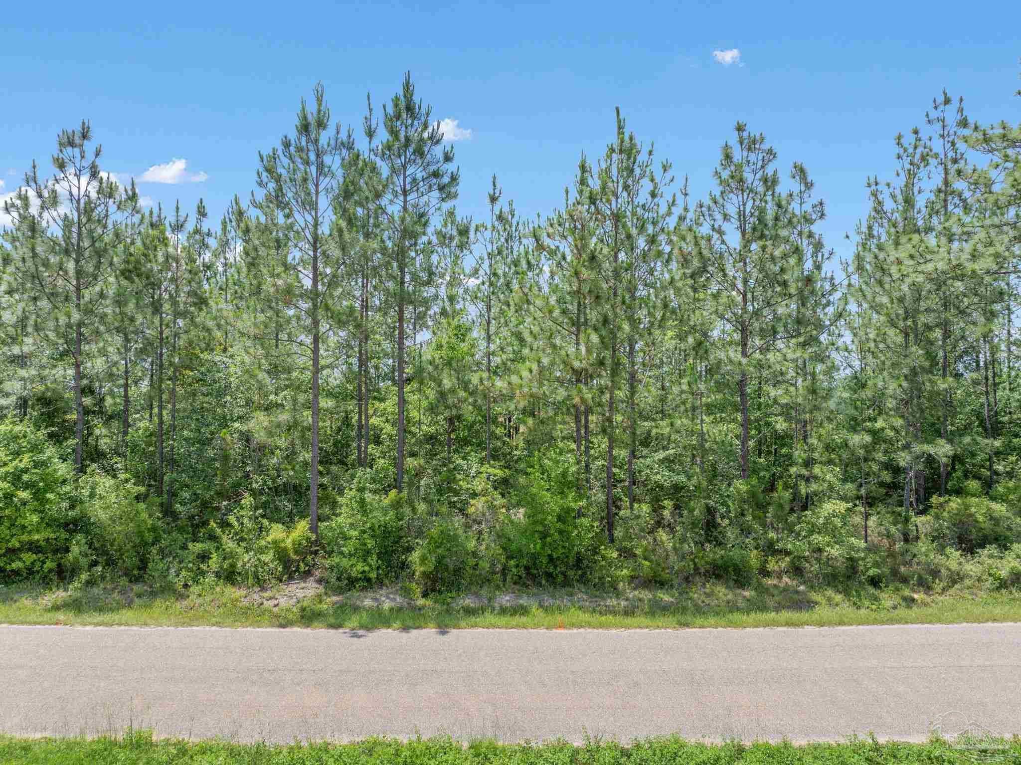 Photo of Listing #665160
