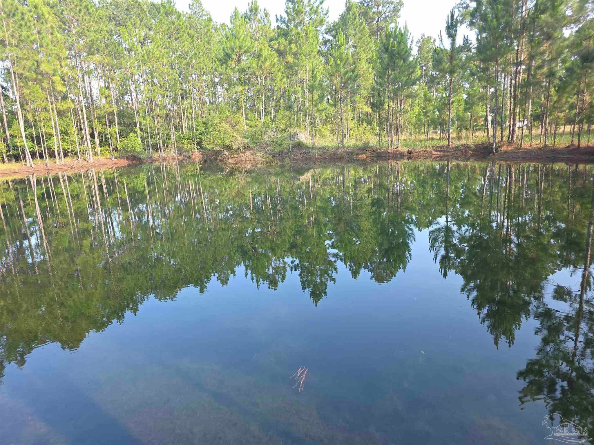 Photo of Listing #665328