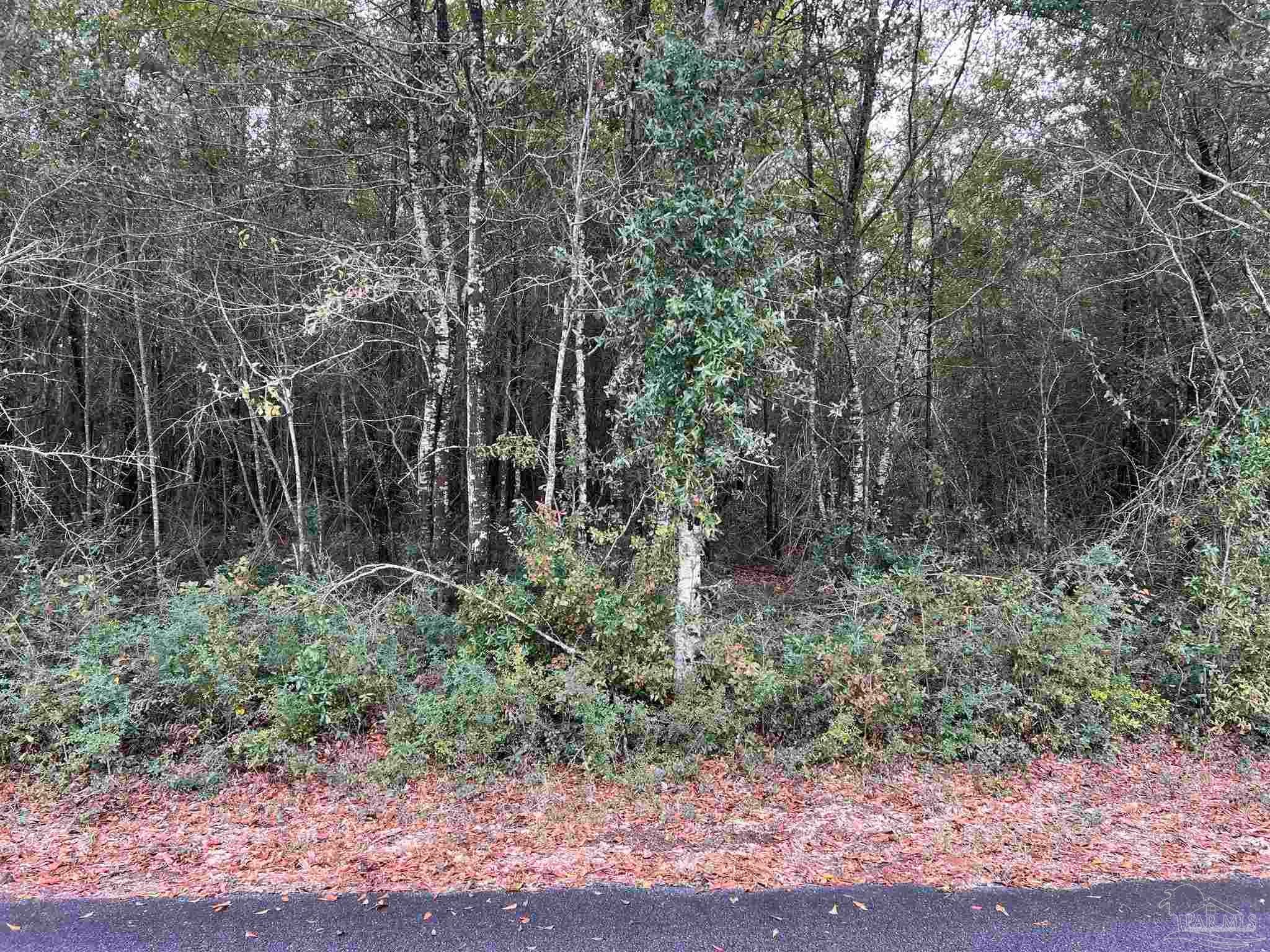 Photo of Listing #665490