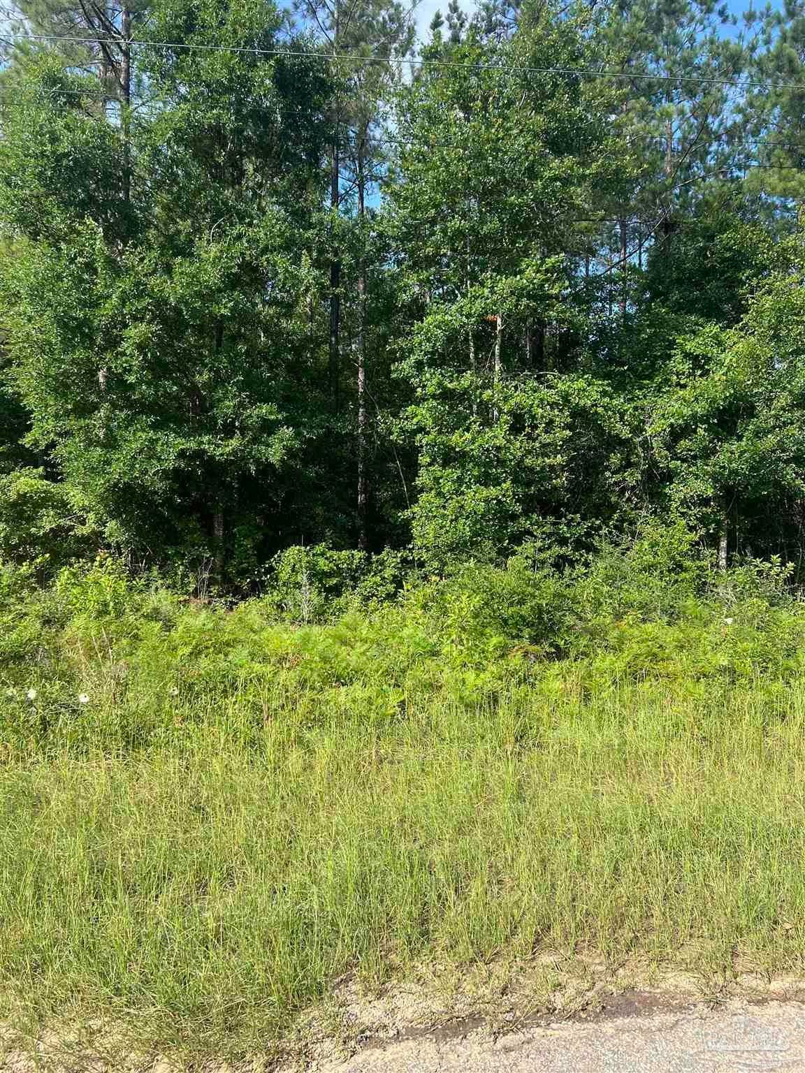 Photo of Listing #666107