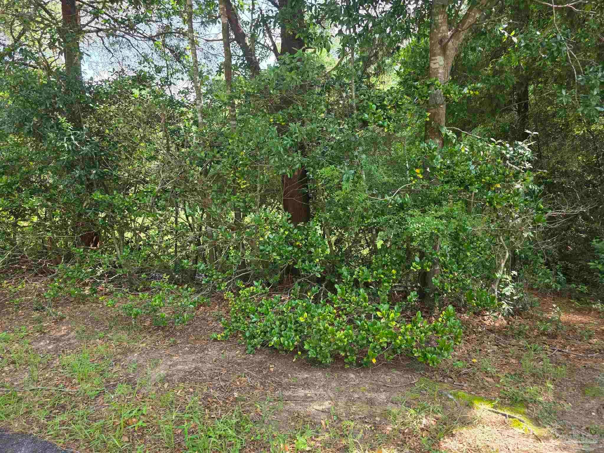 Photo of Listing #666154