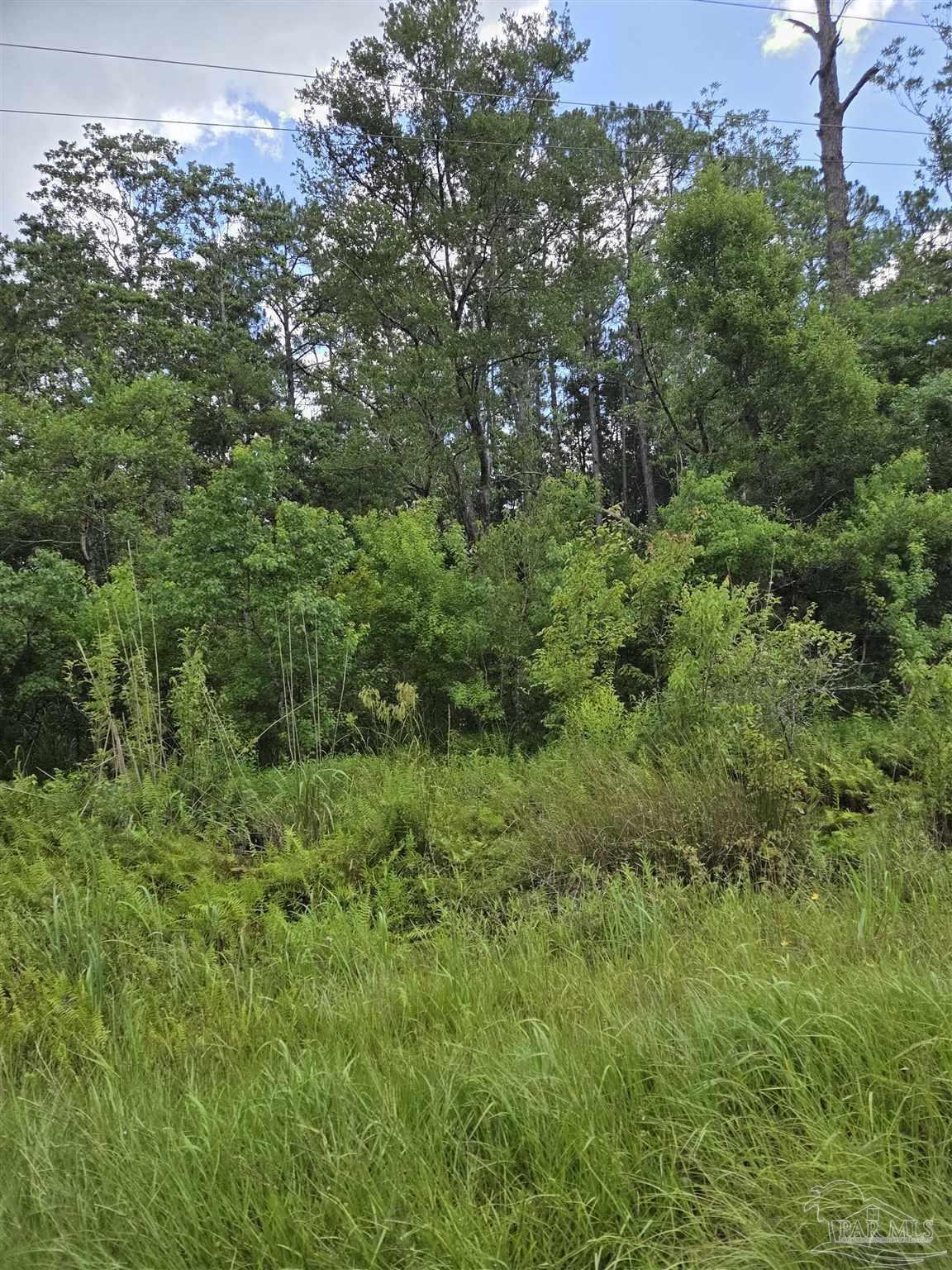 Photo of Listing #666220