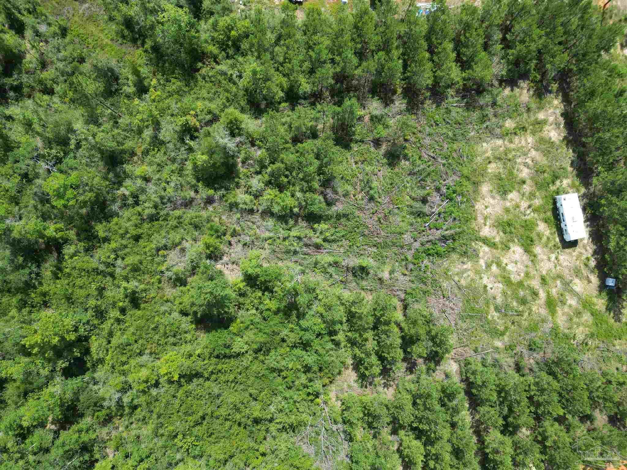 Photo of Listing #667024