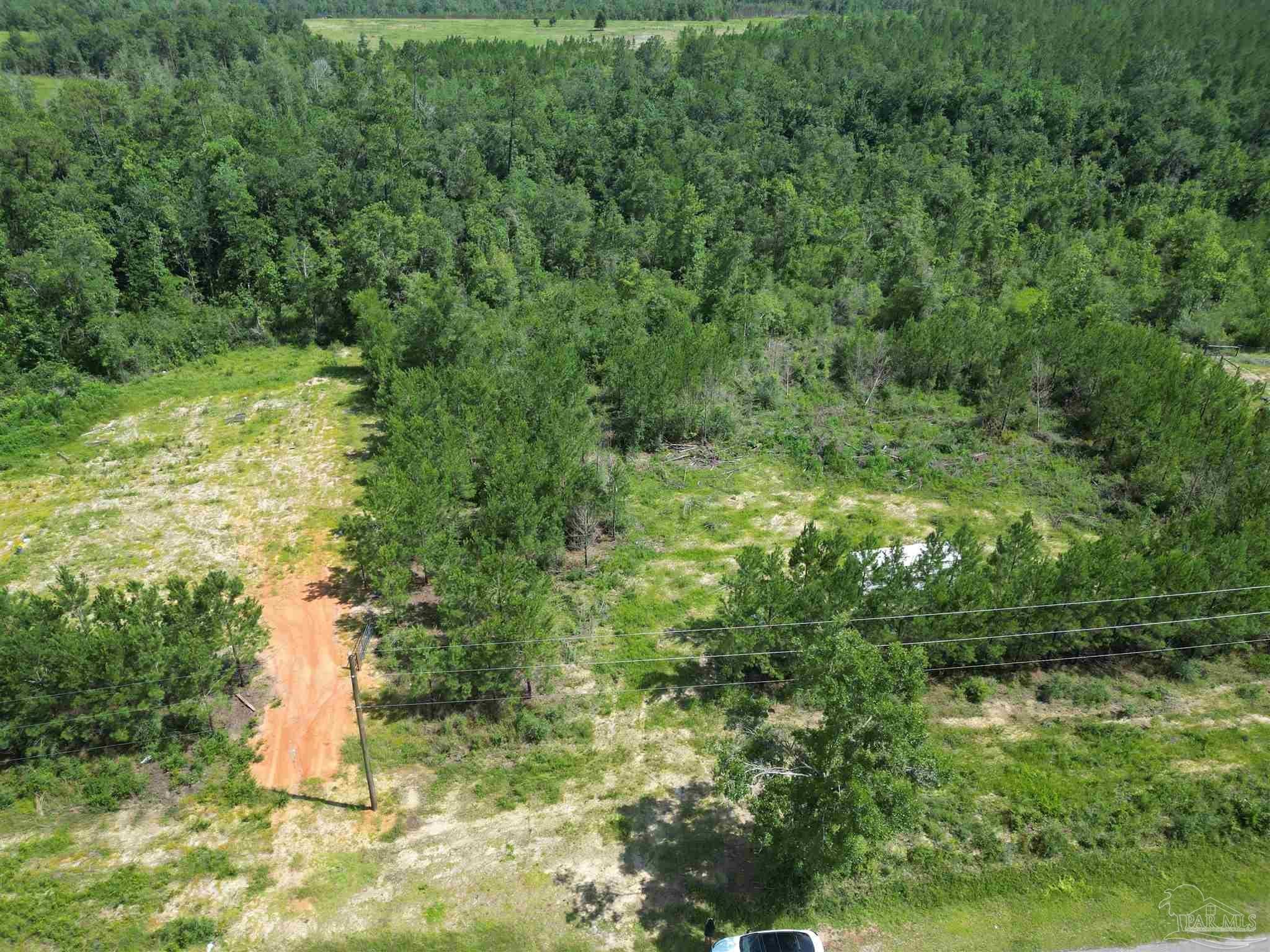 Photo of Listing #667027